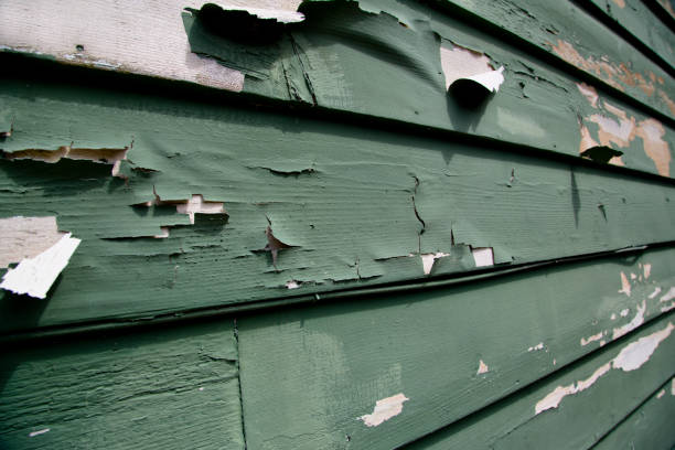 Best James Hardie Siding  in Franklin, VA