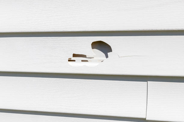 Best Stone Veneer Siding  in Franklin, VA
