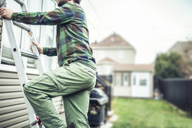 Best Custom Siding Design  in Franklin, VA