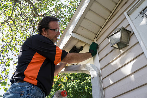 Best Steel Siding Installation  in Franklin, VA
